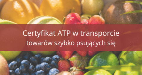 Certyfikat ATP – wszystko, co musisz wiedzieć